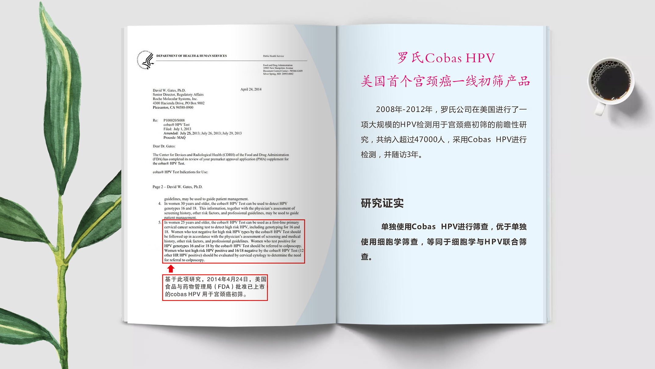 宫颈癌筛查-体检该用什么样的HPV检测试剂