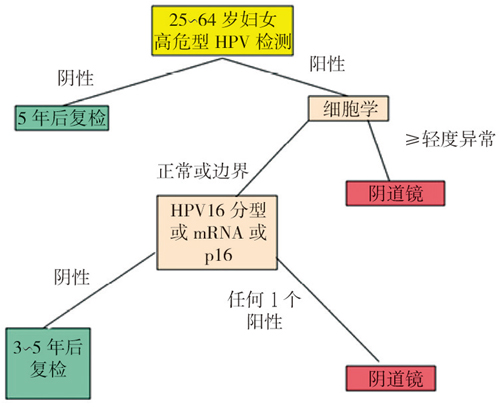 郎景和院士谈子宫颈癌的防治策略