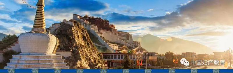 走进拉萨 | 中国子宫颈癌三级规范化防治蓝皮书解读巡讲会成功召开！